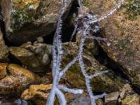 Zweigende mit filigranen und dicken Eisfiguren über dem Steinbach